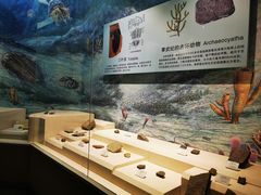 -辽宁古生物博物馆