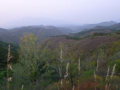 -紫海香堤香草艺术庄园