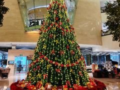 -皇朝尊会(龙之梦大酒店)