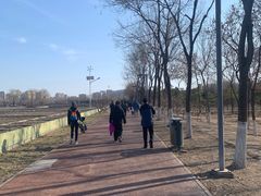 -大兴滨河森林公园