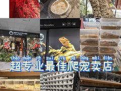 -酷以爬仙阁实体爬宠店·守宫·蜥蜴·专业繁育