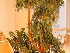 -好利来(SM广场店)