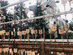 -七彩云南欢乐世界