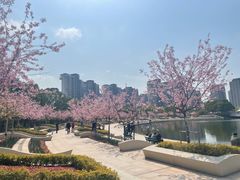 -新江湾城公园