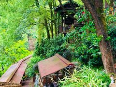 -巴倒烫陆派重庆火锅(南山店)