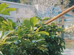 -广东温泉宾馆