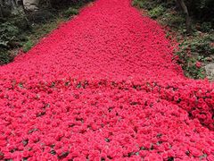 -焦作青龙峡风景名胜区