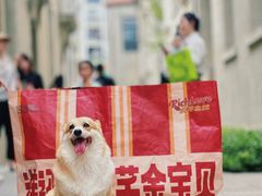 -大芊金重庆串串火锅(南京路店)