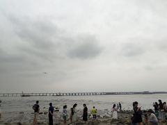 -宝安西湾红树林湿地公园