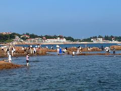 -青岛第二海水浴场