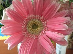 -星巴克(广州中华广场B1层店)