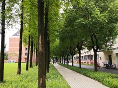 -上海财经大学(国定路校区)