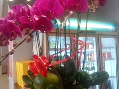 -全聚德烤鸭店(马家堡店)