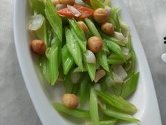 -云中小雅