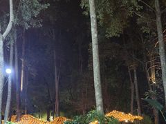 -二荆条·蜀鲜汇城市森林火锅