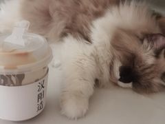 -灯塔咖啡馆BOOK·Coffee Shop