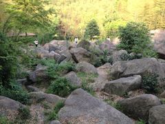 -山沟沟景区
