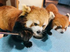 -秦皇岛新澳海底世界