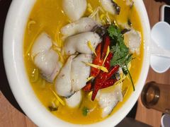 -雀舞云南菜(乐客城店)