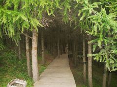 -苏木山森林公园