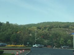 -宗泉烤全羊·烤羊腿·家常菜(解放东路店)