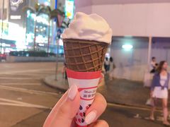 -富豪雪糕车流动点(尖沙咀店)