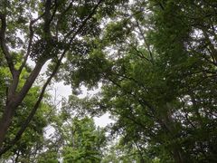 -青岛海滨风景区