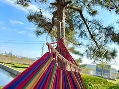 -羊亭河湿地公园