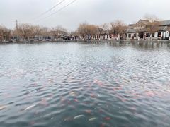 -济南大明湖景区
