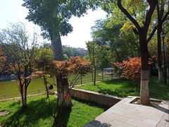 -莲湖公园