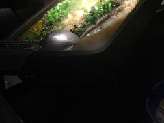 -探鱼·鲜青椒爽麻烤鱼(广州花都来又来店)