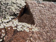 -中国茶叶博物馆(双峰馆区)