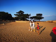 -老虎石海上公园