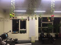 -炼呗运动康复·健身工作室(紫竹桥店)