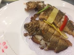 -骏莱海鲜鱼港(五角场店)