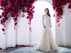 -施华洛婚纱摄影会所(范阳中路店)