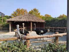 -上海野生动物园