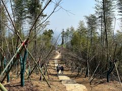 -莫干山风景区