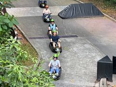 -圣淘沙天际线斜坡滑车