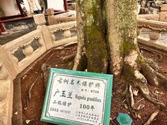 -豫园