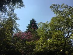 景点-广州珠江公园