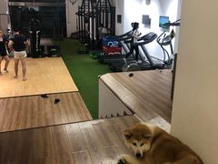 -YCHL Studios健身工作室(市二宫店)