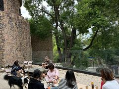 -J Create城市露营咖啡·简餐·宠物(上海动物园店)