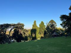 -墨尔本皇家植物园