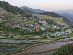 -紫鹊界梯田景区