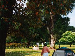 -华南国家植物园-售票处