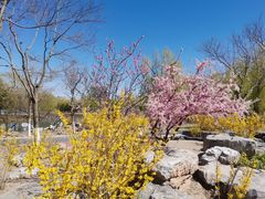 -大兴滨河森林公园