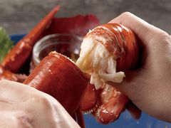 -RED LOBSTER(环球影城大阪店)