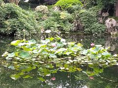 -浙江西子宾馆·瑶园咖啡厅