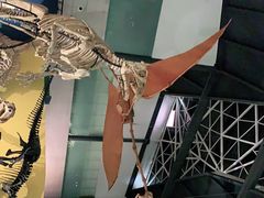 -湖南省地质博物馆